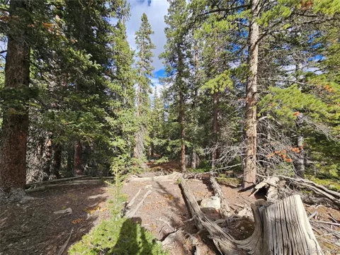 617 Gold Trail Circle