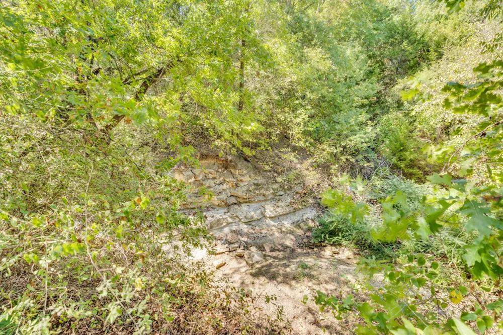 1310 Lariat Circle Oak Leaf, TX 75154