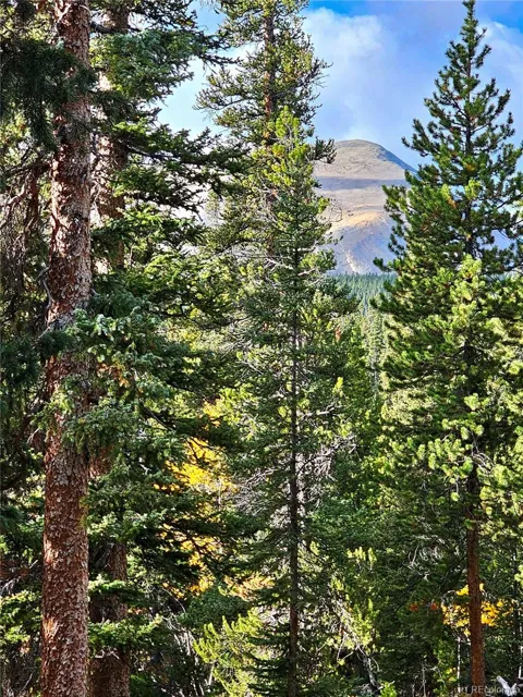 102 Gold Trail