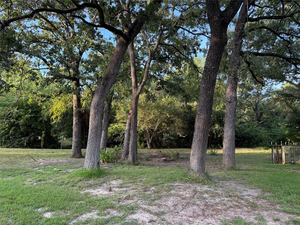 Lake Drive Enchanted Oaks, TX 75156