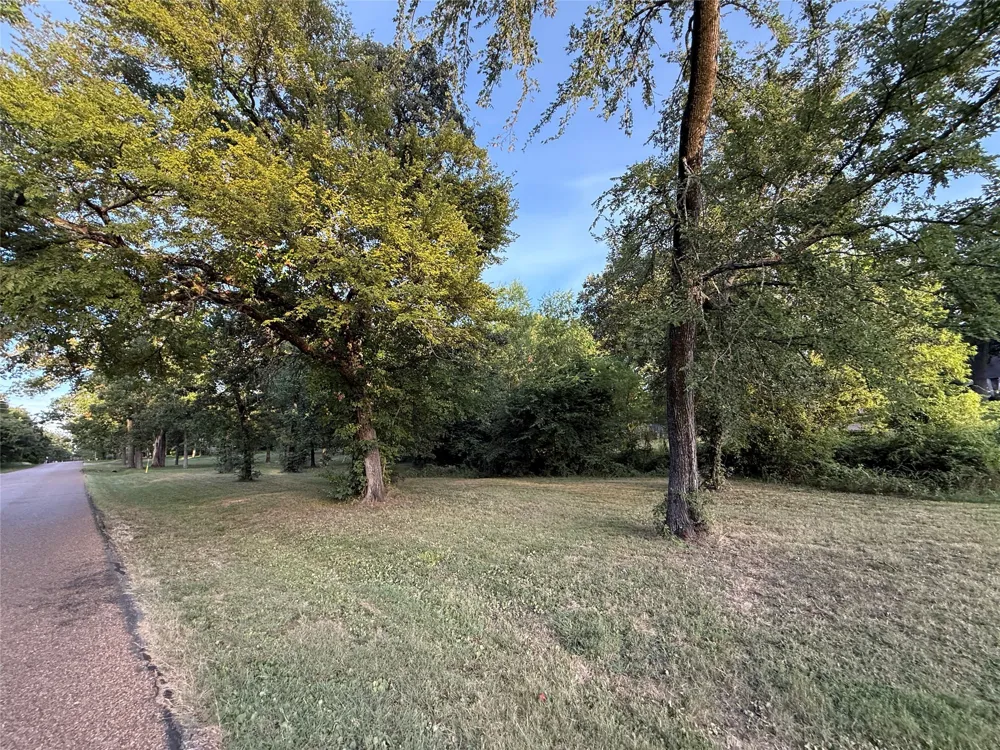 Lake Drive Enchanted Oaks, TX 75156