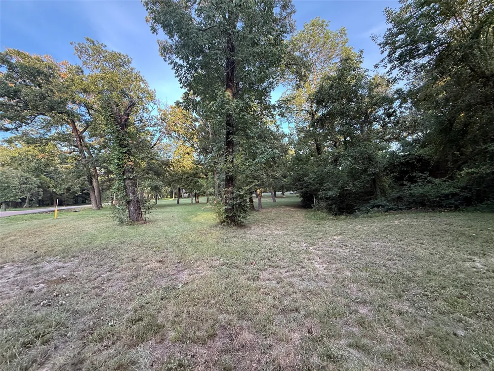 Lake Drive Enchanted Oaks, TX 75156