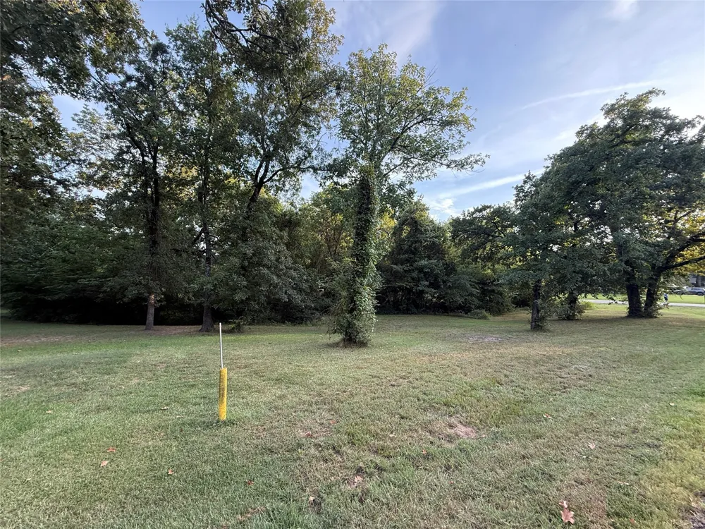 Lake Drive Enchanted Oaks, TX 75156