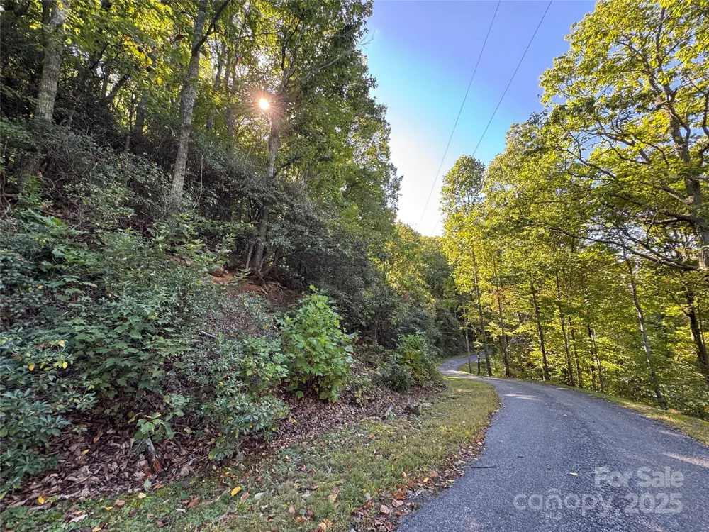 999 Red Oak Forest Road Fairview, NC 28730