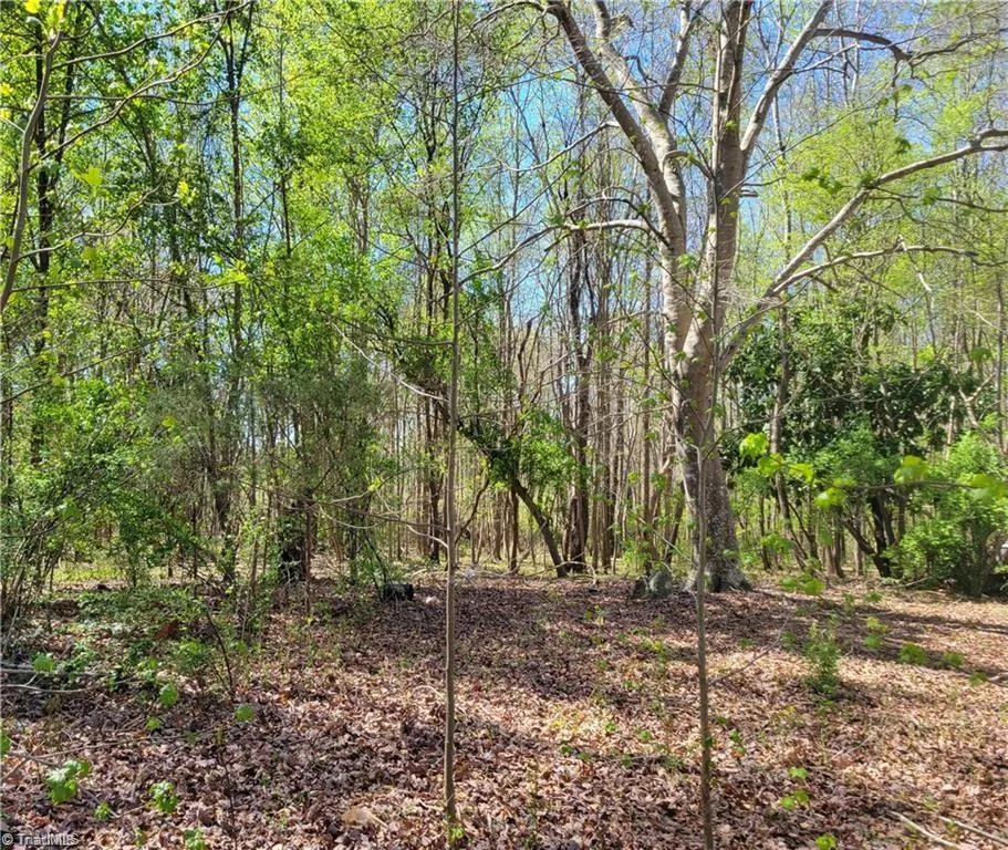 4650 Huntingwood Road Ramseur, NC 27316