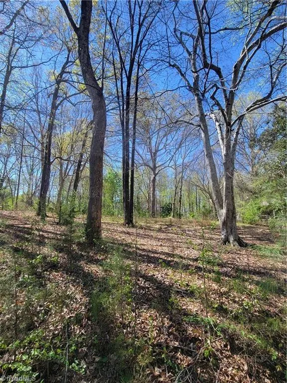 4650 Huntingwood Road Ramseur, NC 27316