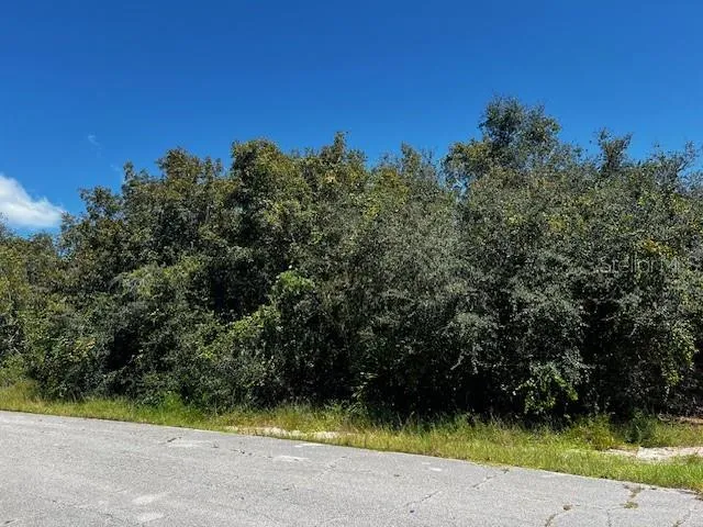 1229 BALTIC DRIVE Poinciana, FL 34759
