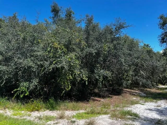 1229 BALTIC DRIVE Poinciana, FL 34759