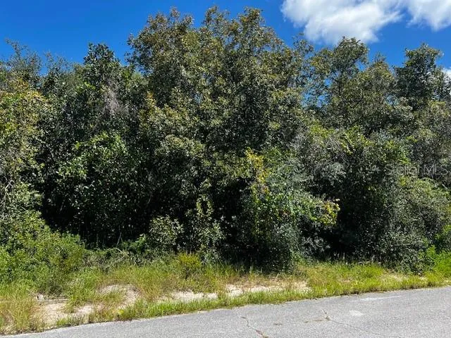1229 BALTIC DRIVE Poinciana, FL 34759