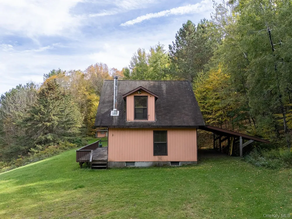 515 Magic Mountain Road Bloomville, NY 13739