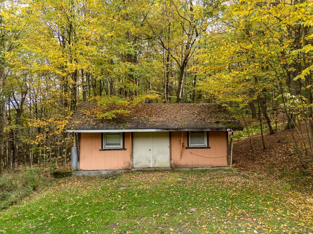 515 Magic Mountain Road Bloomville, NY 13739