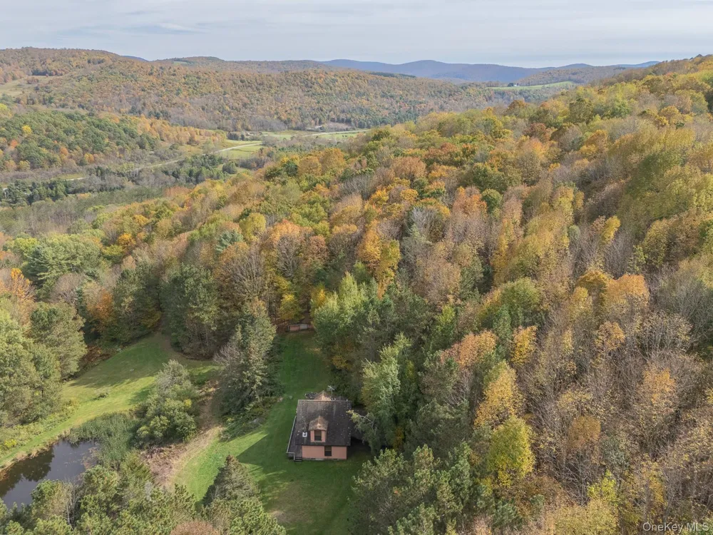 515 Magic Mountain Road Bloomville, NY 13739