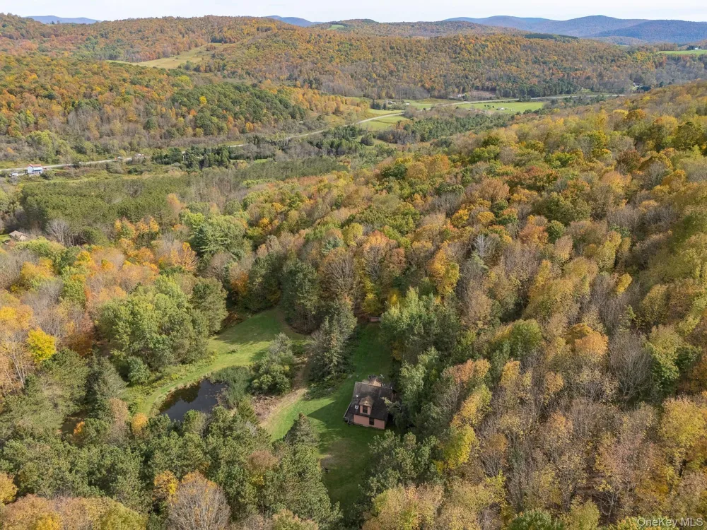 515 Magic Mountain Road Bloomville, NY 13739