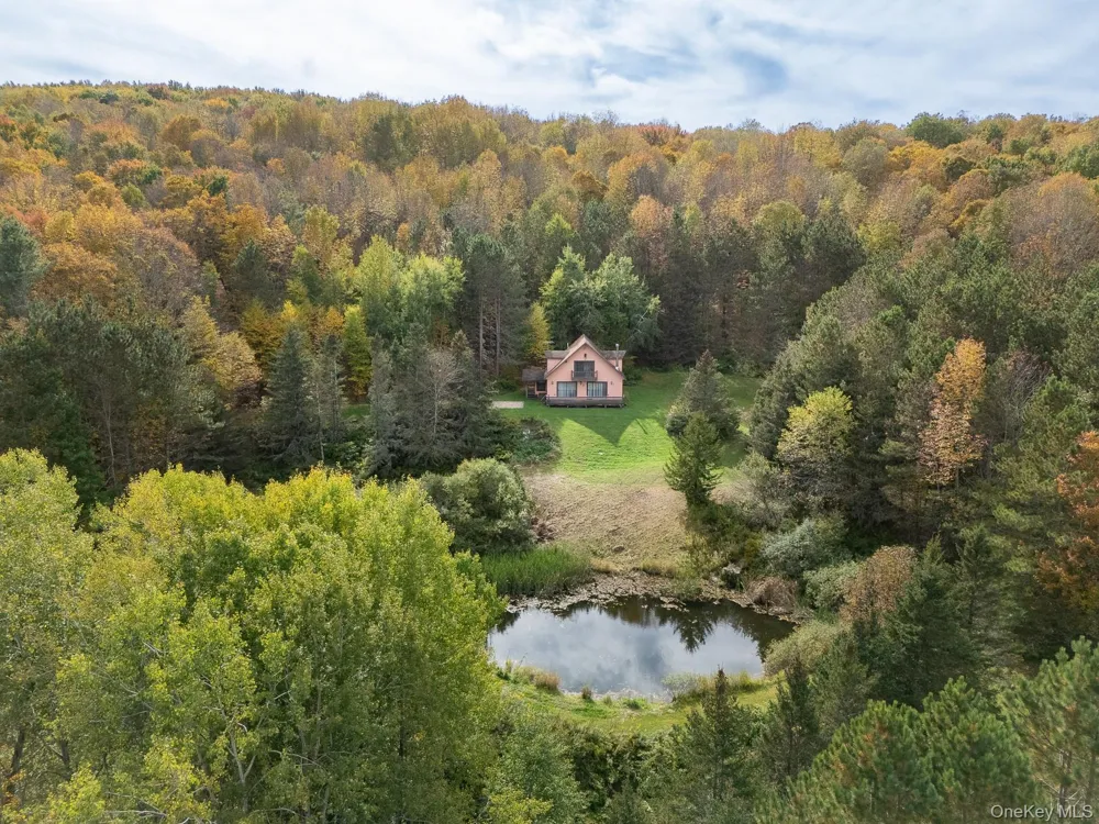 515 Magic Mountain Road Bloomville, NY 13739