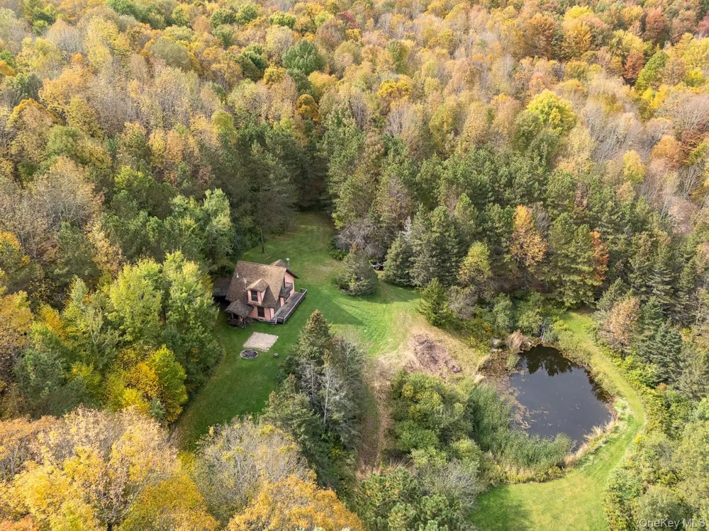 515 Magic Mountain Road Bloomville, NY 13739
