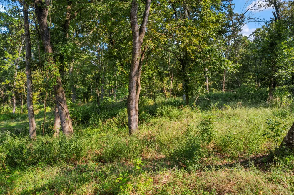 79 Lake Oaks Circle Coldspring, TX 77331