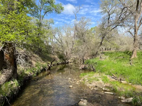 Cunningham Drive
