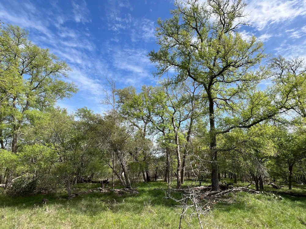Cunningham Drive Lockhart, TX 78644