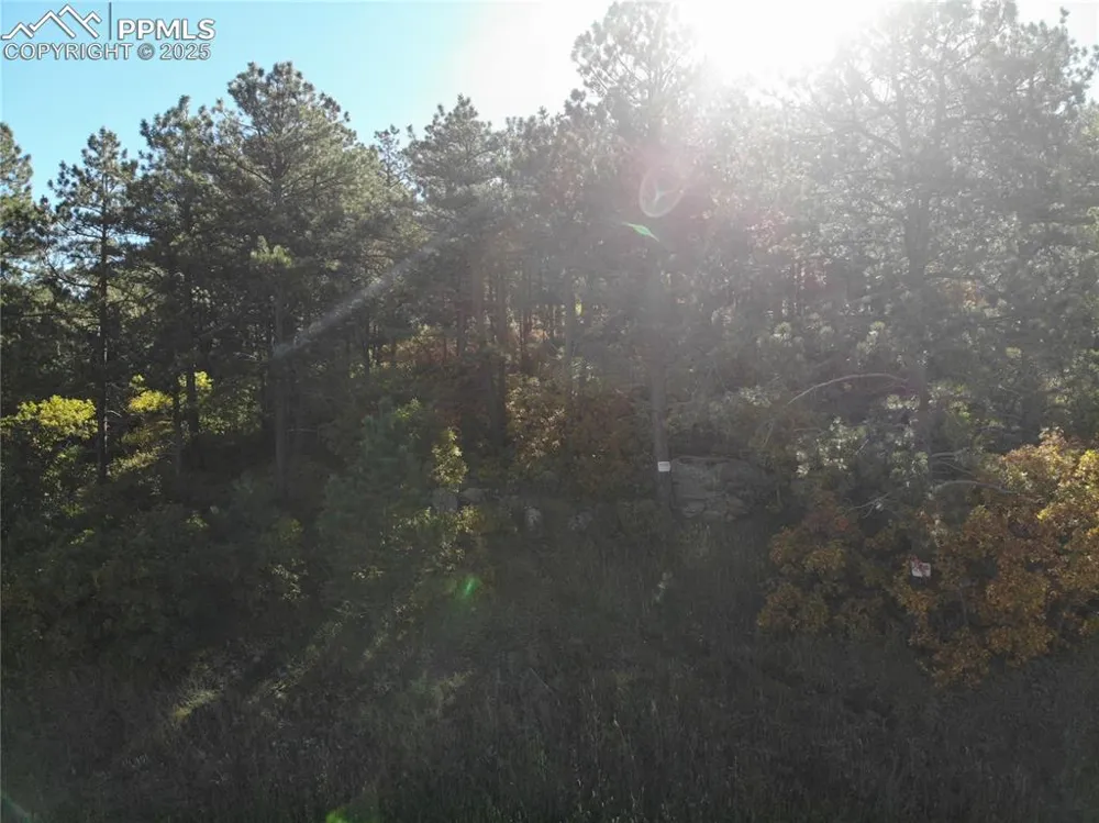 Oakdale Terrace Palmer Lake, CO 80133