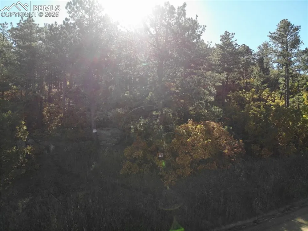 Oakdale Terrace Palmer Lake, CO 80133