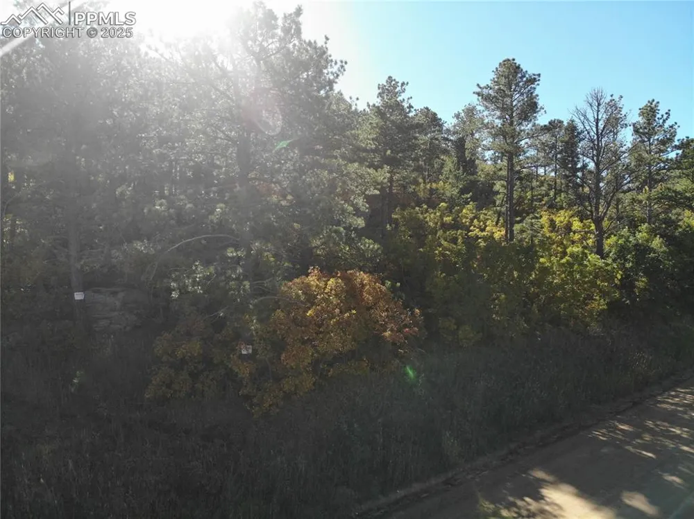 Oakdale Terrace Palmer Lake, CO 80133
