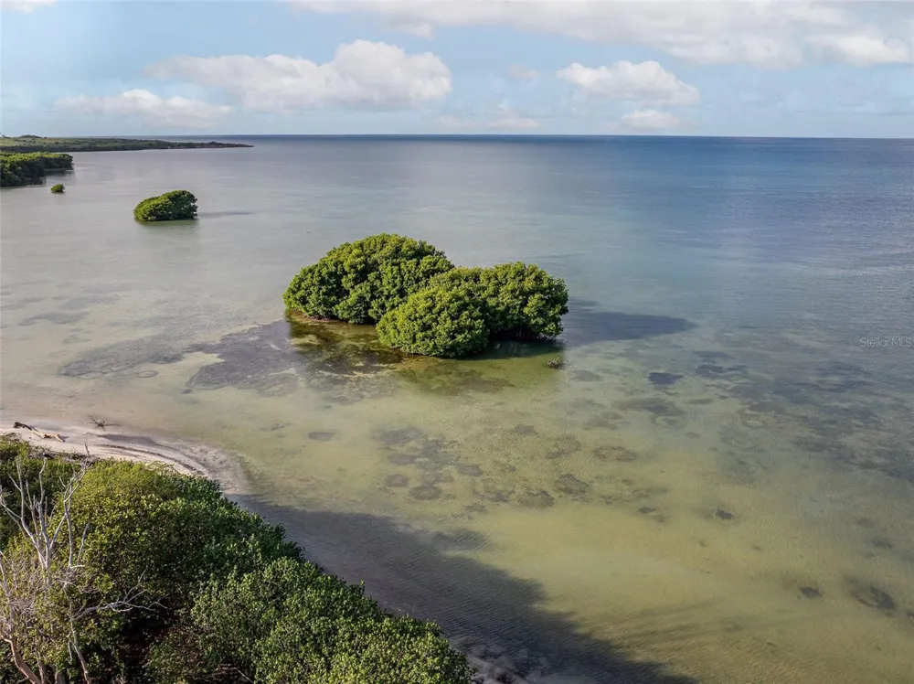 SR 301 km 11.0 CONDOMINIO PLAYAS DEL CARIBE RESORT #303 - D Cabo Rojo, PR 00623