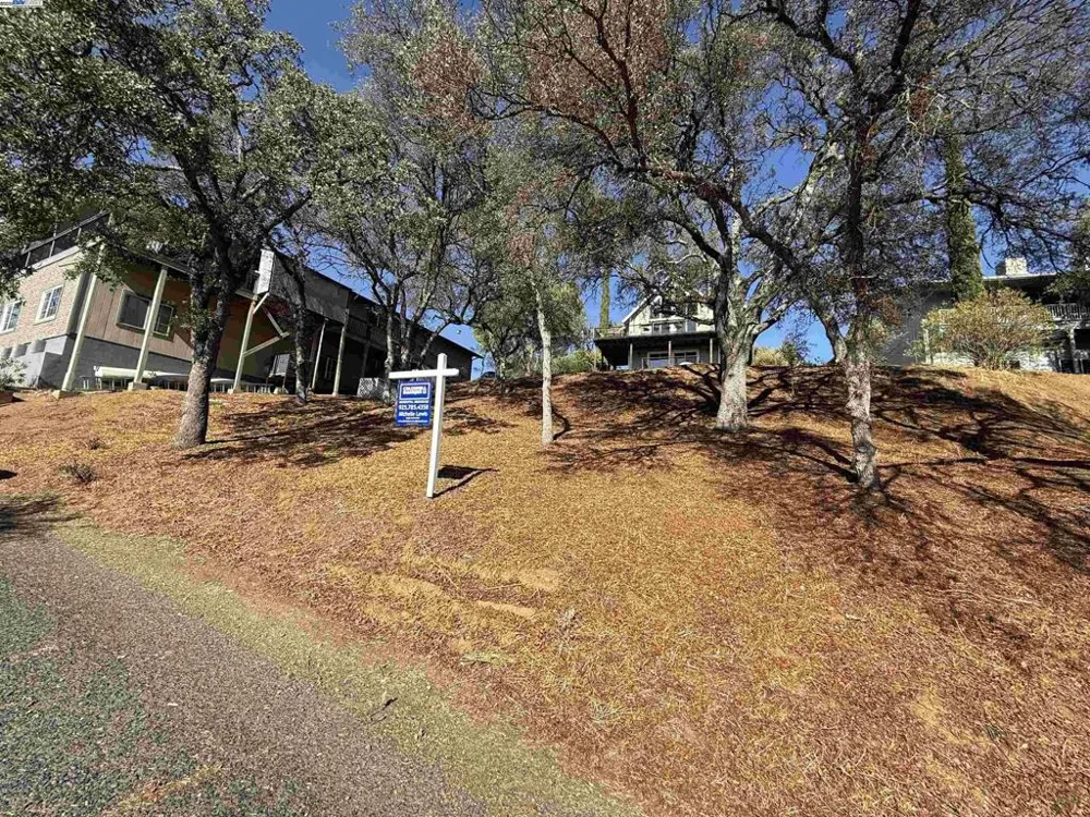 490 Bret Harte Dr Copperopolis, CA 95228