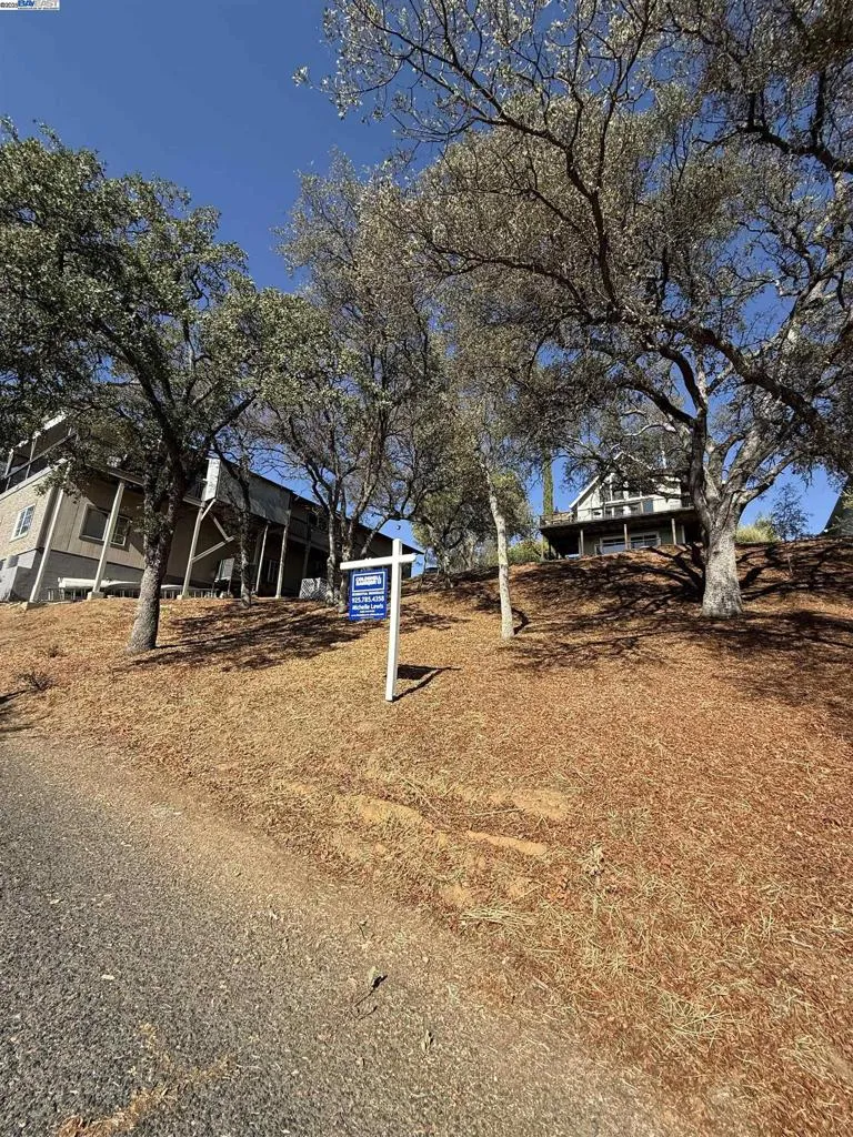 490 Bret Harte Dr Copperopolis, CA 95228