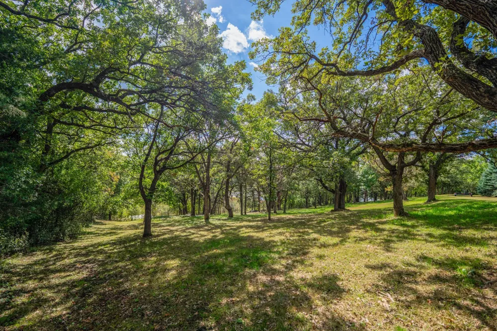 TBD` 198th Avenue NE New London, MN 56273