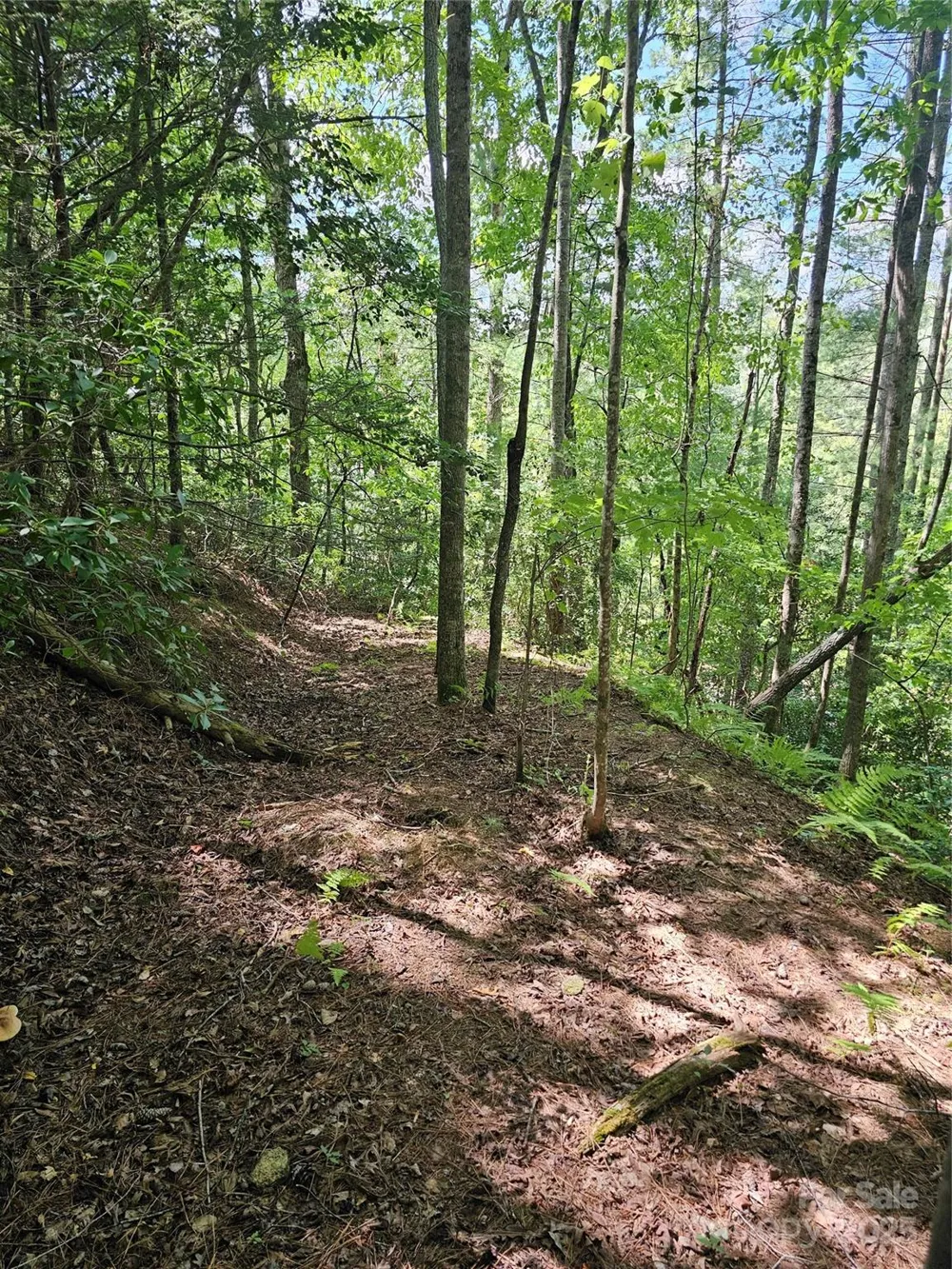 0 Waters Edge Drive #84 Granite Falls, NC 28680