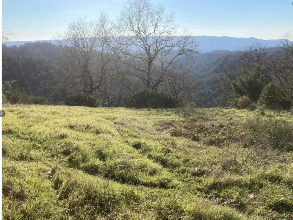 19089 Skyline Boulevard Los Gatos, CA 95033
