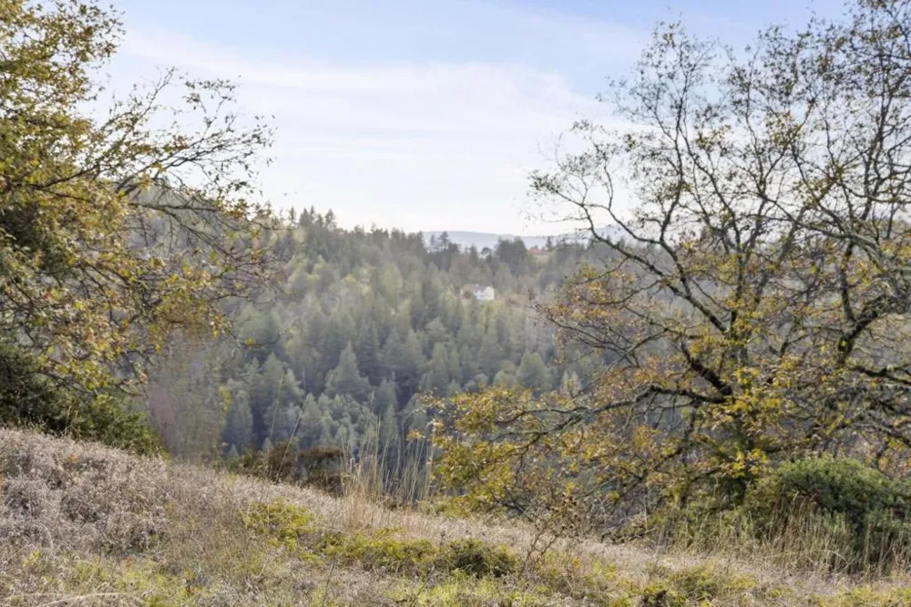 19089 Skyline Boulevard Los Gatos, CA 95033