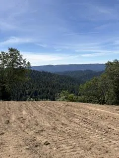 19089 Skyline Boulevard Los Gatos, CA 95033