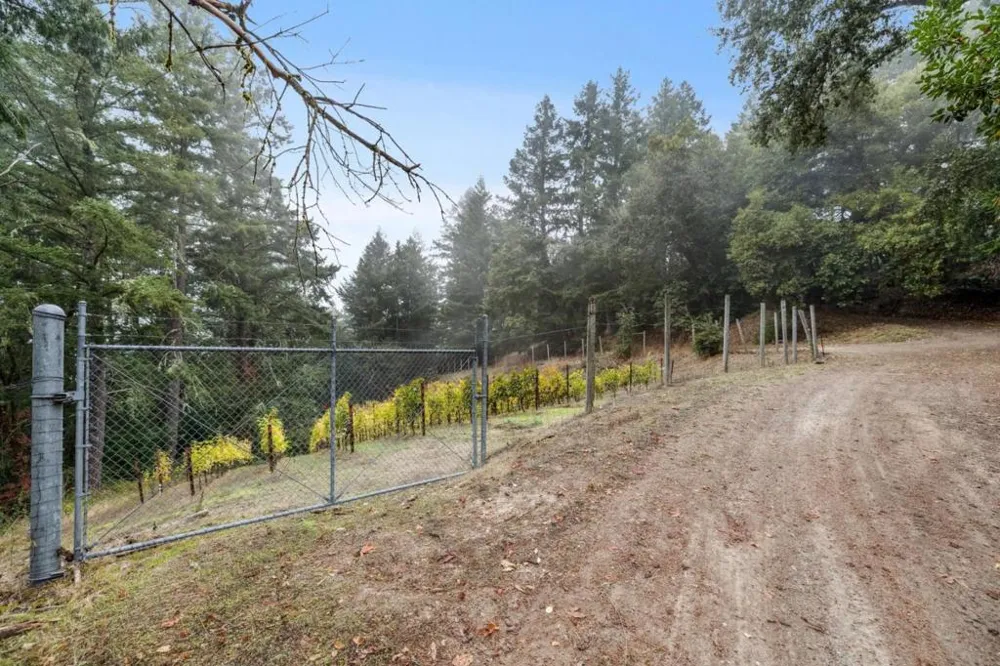 19089 Skyline Boulevard Los Gatos, CA 95033