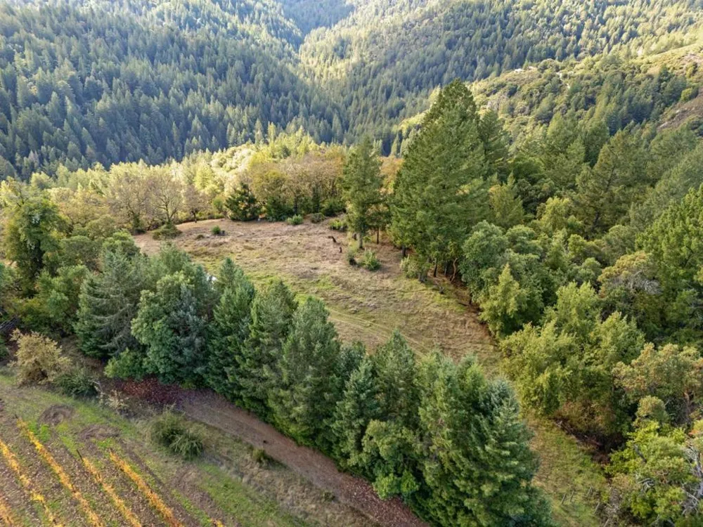 19089 Skyline Boulevard Los Gatos, CA 95033