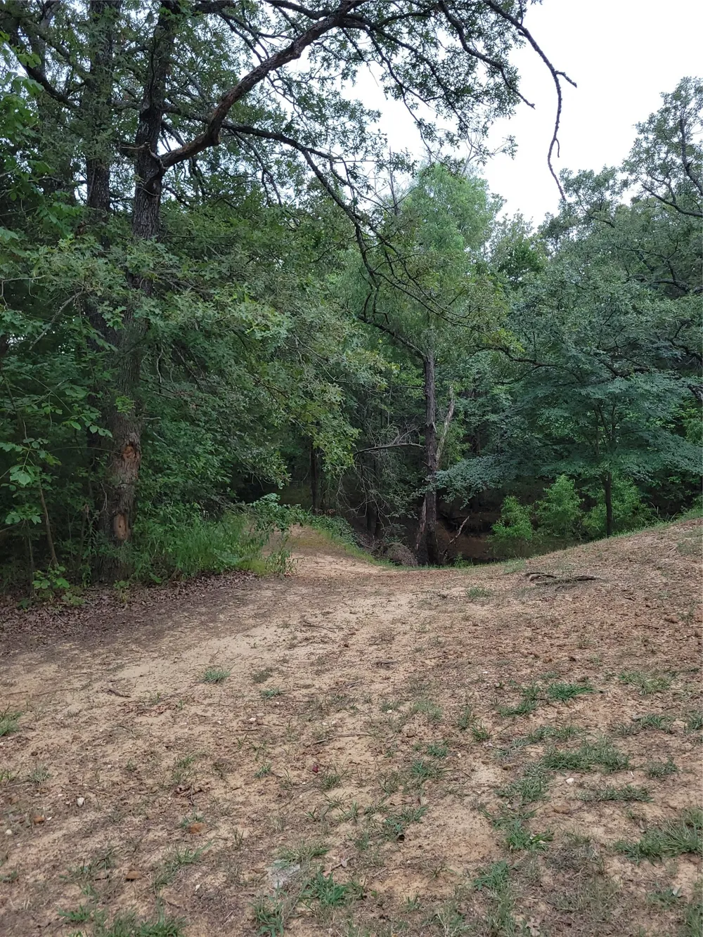 161 Colt Drive Sadler, TX 76264