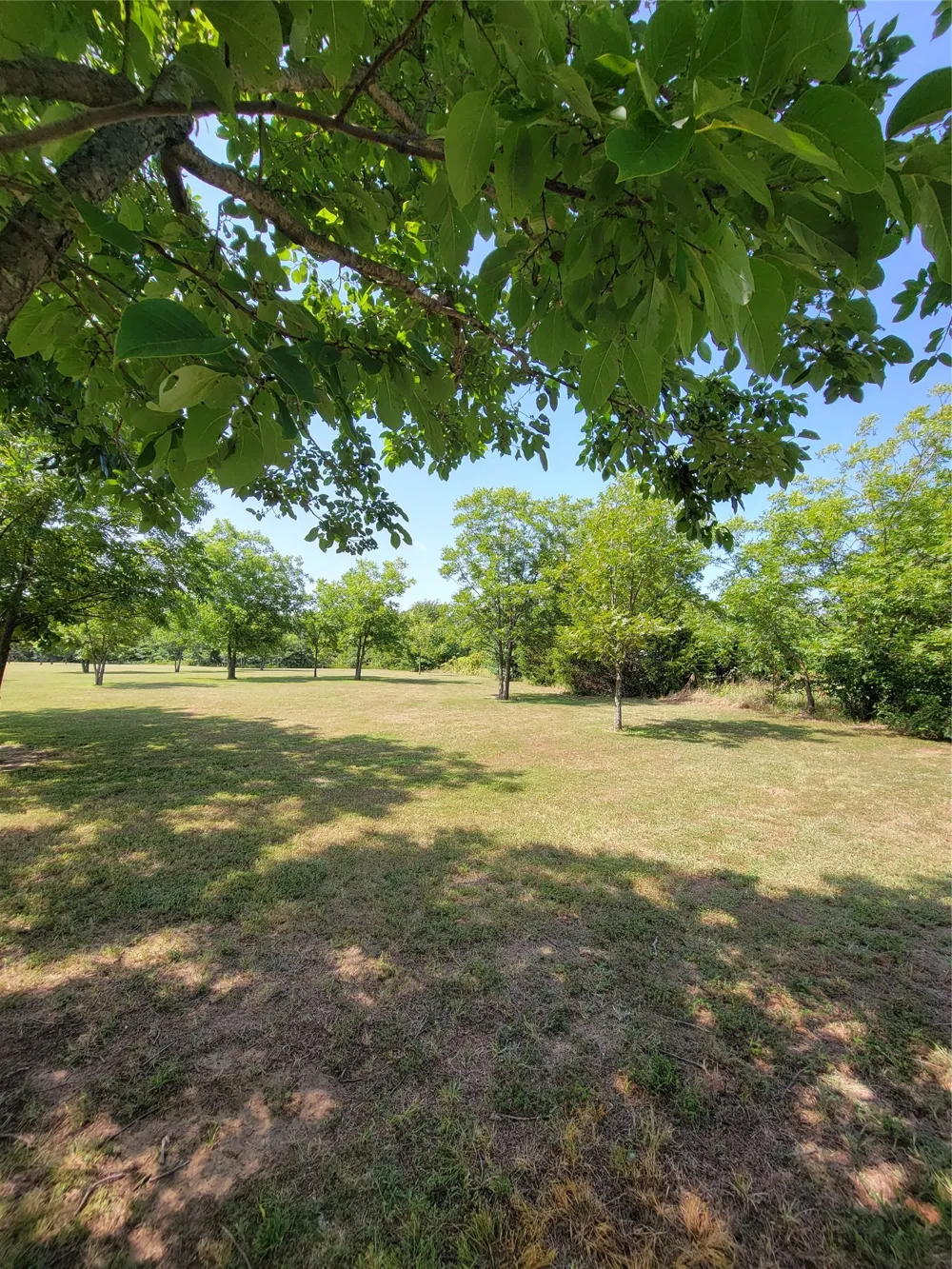 161 Colt Drive Sadler, TX 76264