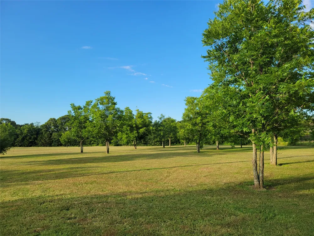 161 Colt Drive Sadler, TX 76264