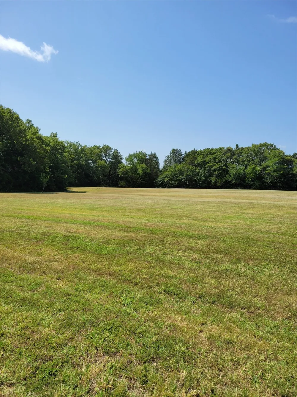 161 Colt Drive Sadler, TX 76264