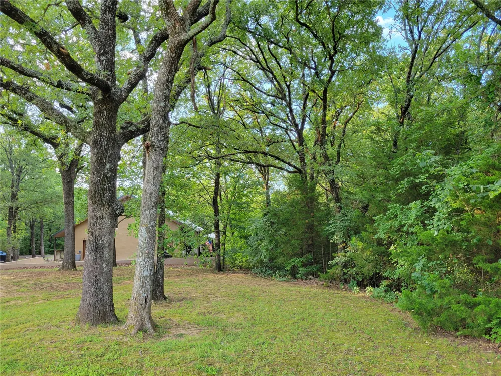 161 Colt Drive Sadler, TX 76264