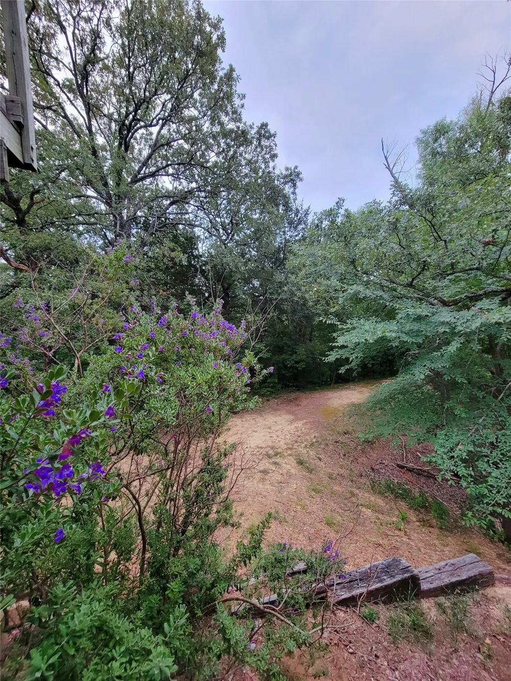161 Colt Drive Sadler, TX 76264