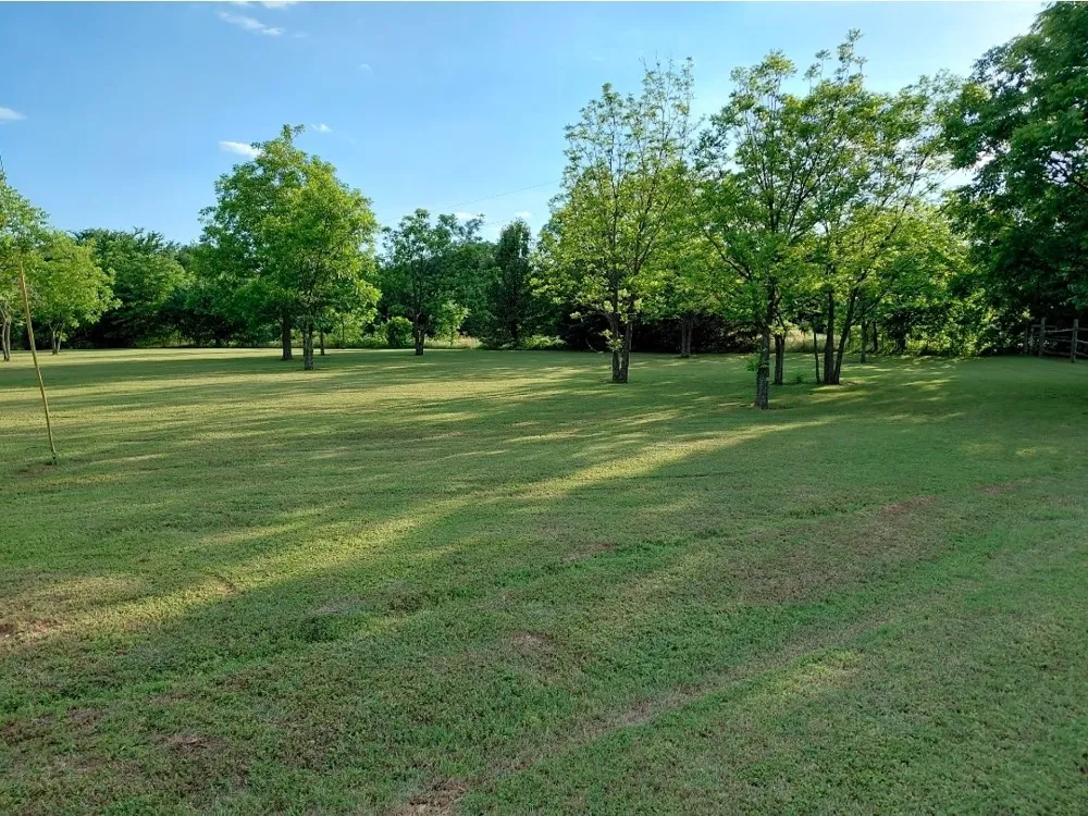 161 Colt Drive Sadler, TX 76264