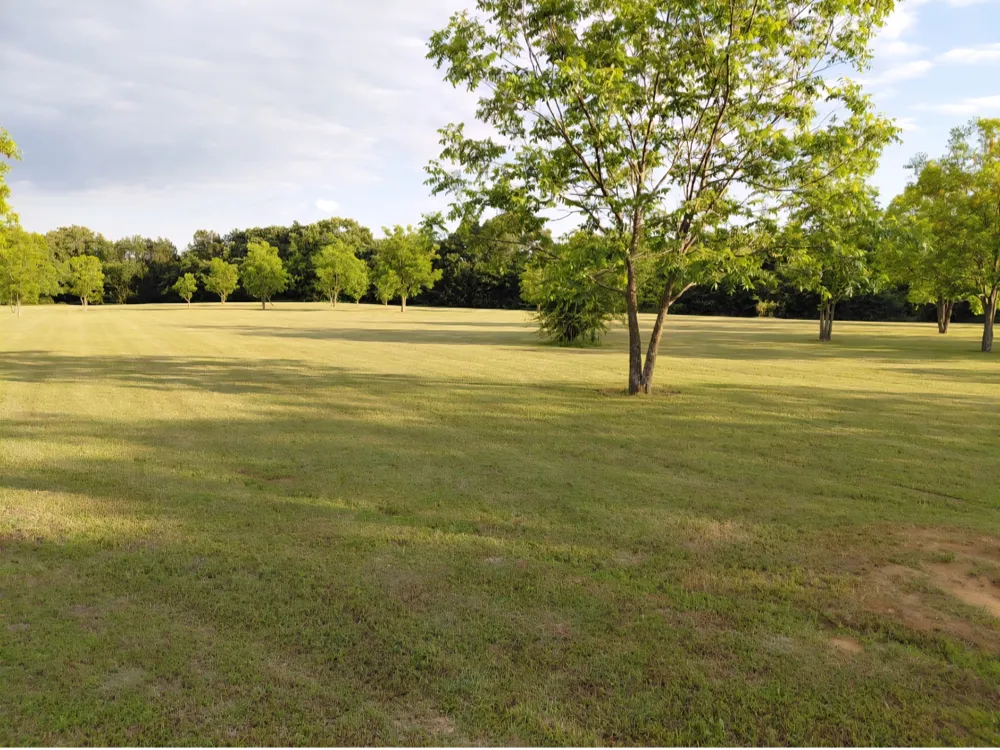 161 Colt Drive Sadler, TX 76264
