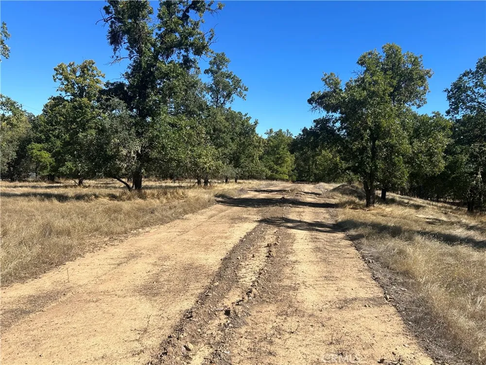1000 Eva Way Lakeport, CA 95453