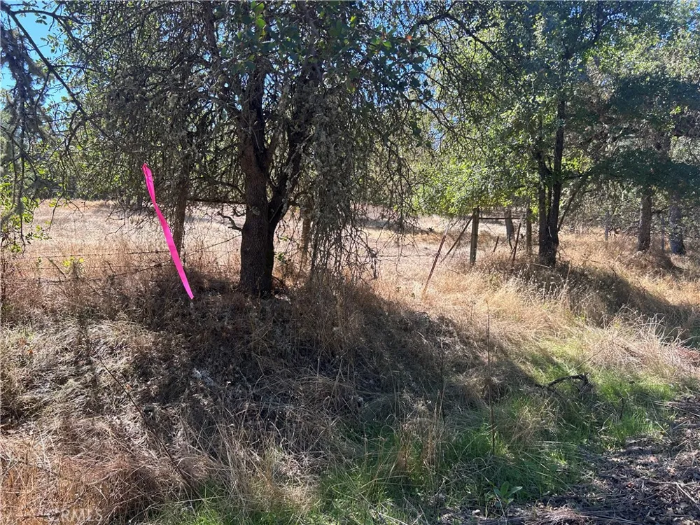 1000 Eva Way Lakeport, CA 95453