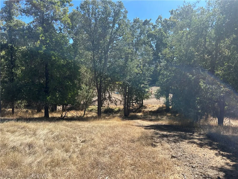1000 Eva Way Lakeport, CA 95453