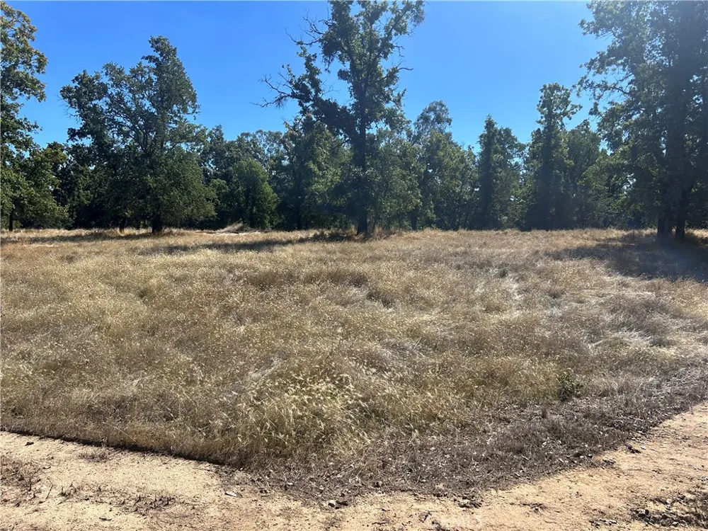 1000 Eva Way Lakeport, CA 95453