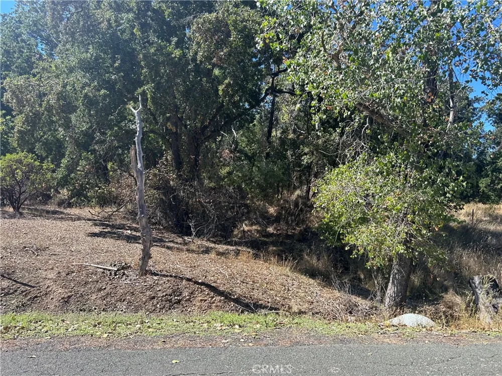 1000 Eva Way Lakeport, CA 95453