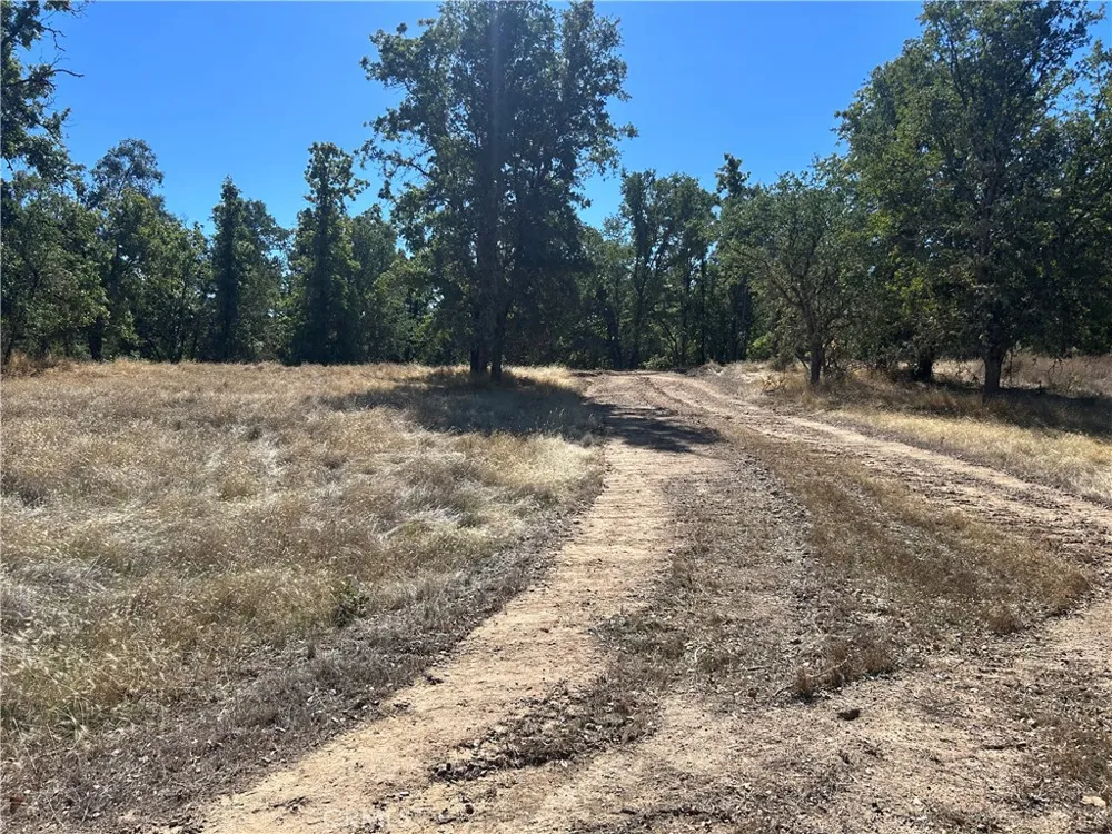 1000 Eva Way Lakeport, CA 95453