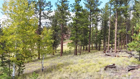 2265 Vagabond Creek Drive